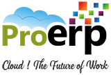 Pro ERP logo